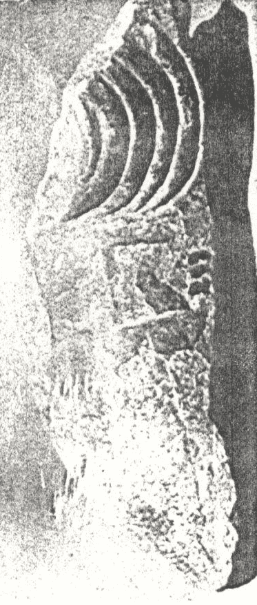 عنصر معماري